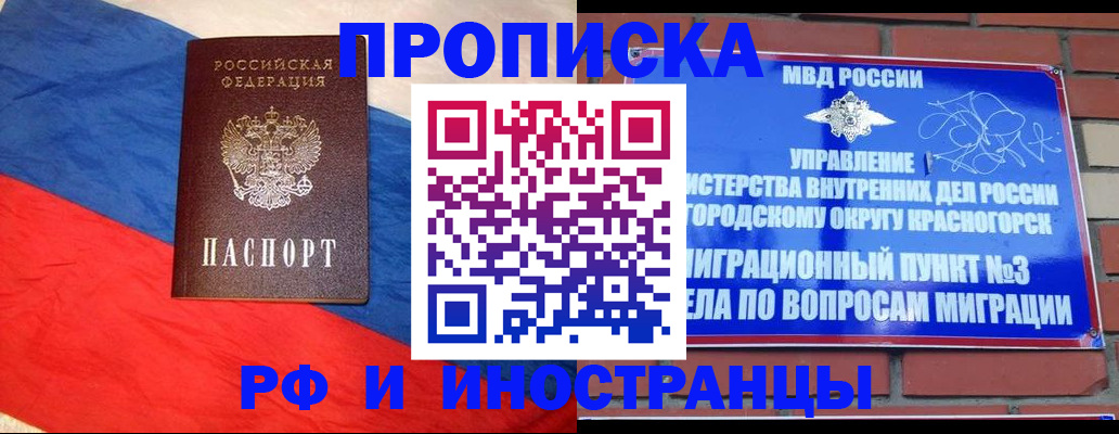 временная регистрация для всех в Светлограде